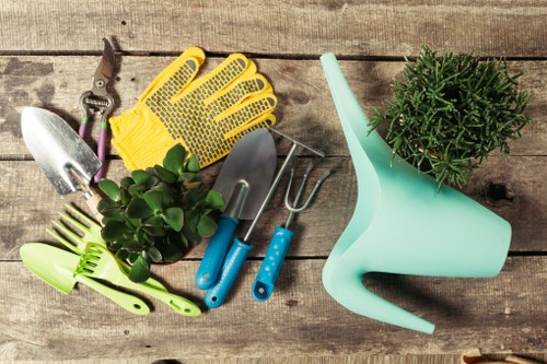 Professional tree lopping service in Hampstead
