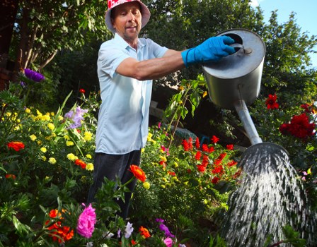 Sustainable garden design in Hampstead