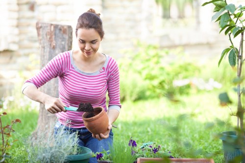 Eco-friendly decking materials and design options