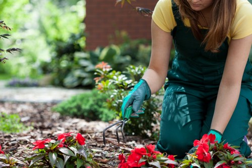 Professional landscaper working on a Hampstead garden project