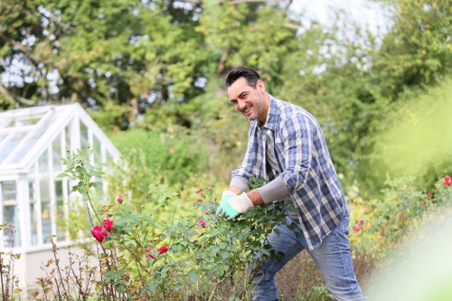 Essential garden tools arranged for use