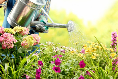 Selection of native plants for Hampstead gardens