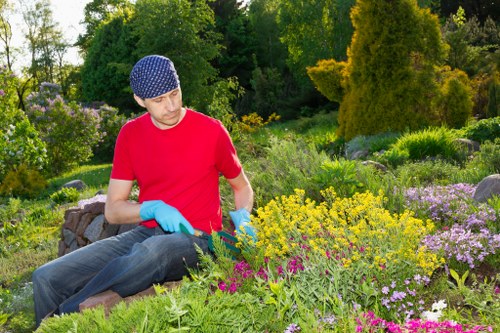 Hampstead tree removal services