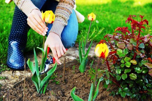 Seasonal lawn care in Hampstead park