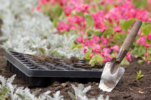 Expert pruning and trimming services in a Hampstead garden