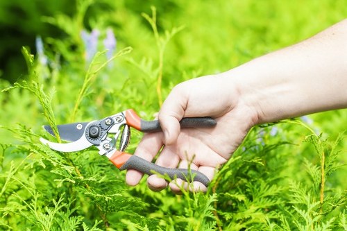 Garden maintenance crew training session showing safe tool use